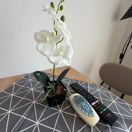 Lovely Bright On Sunny Apartment
