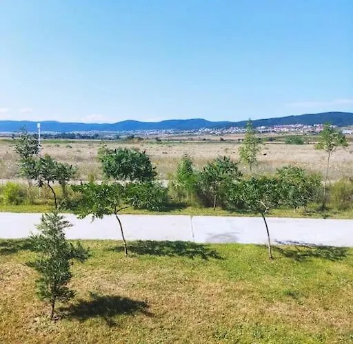 Lovely Bright On Sunny Apartamento